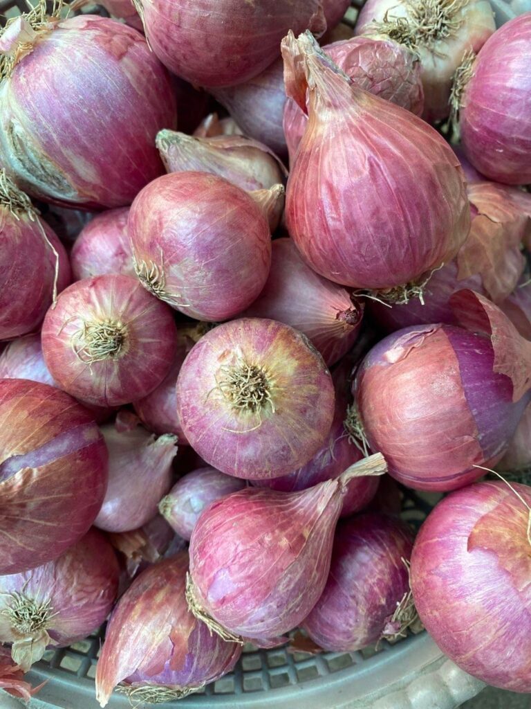 Hello to these fresh onions from my garden🏡