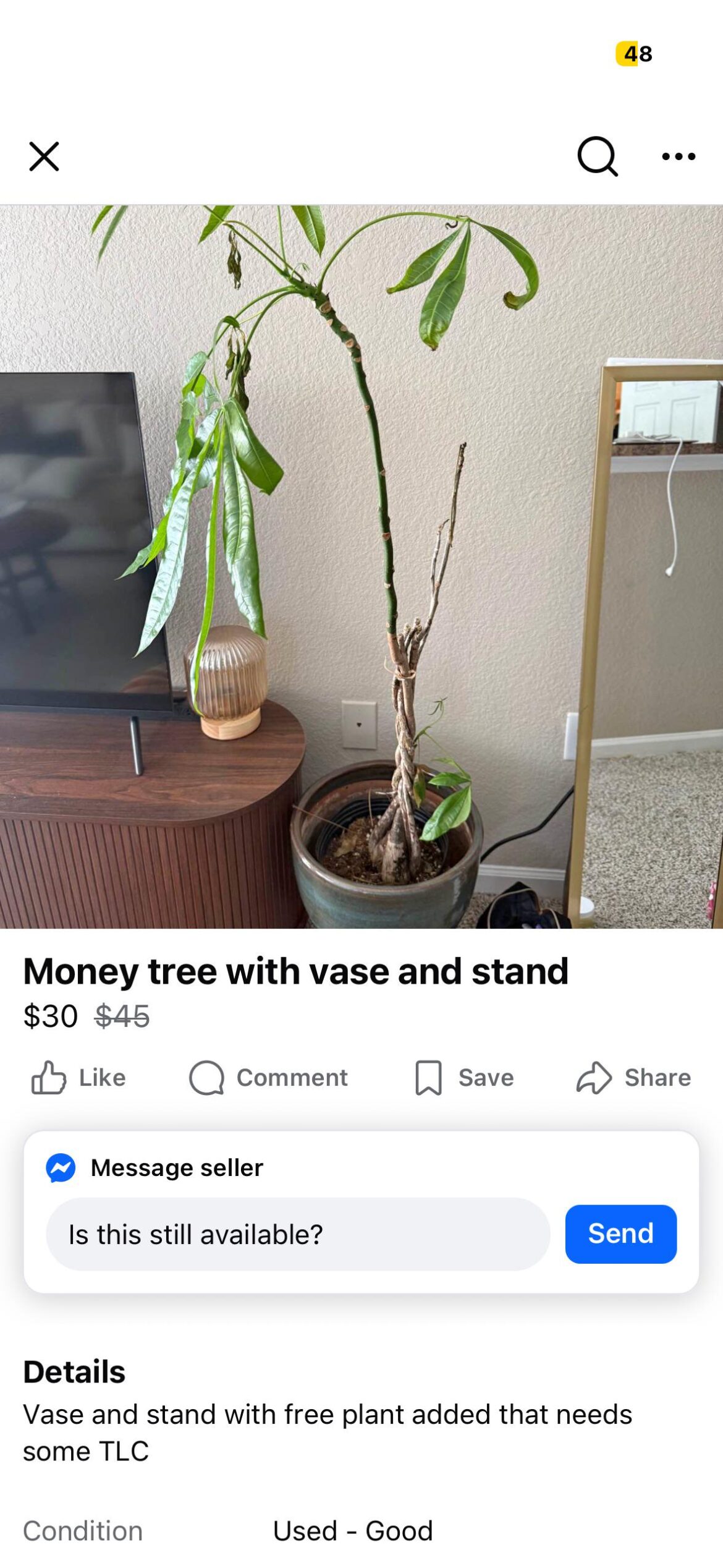At least it’s not a monstera