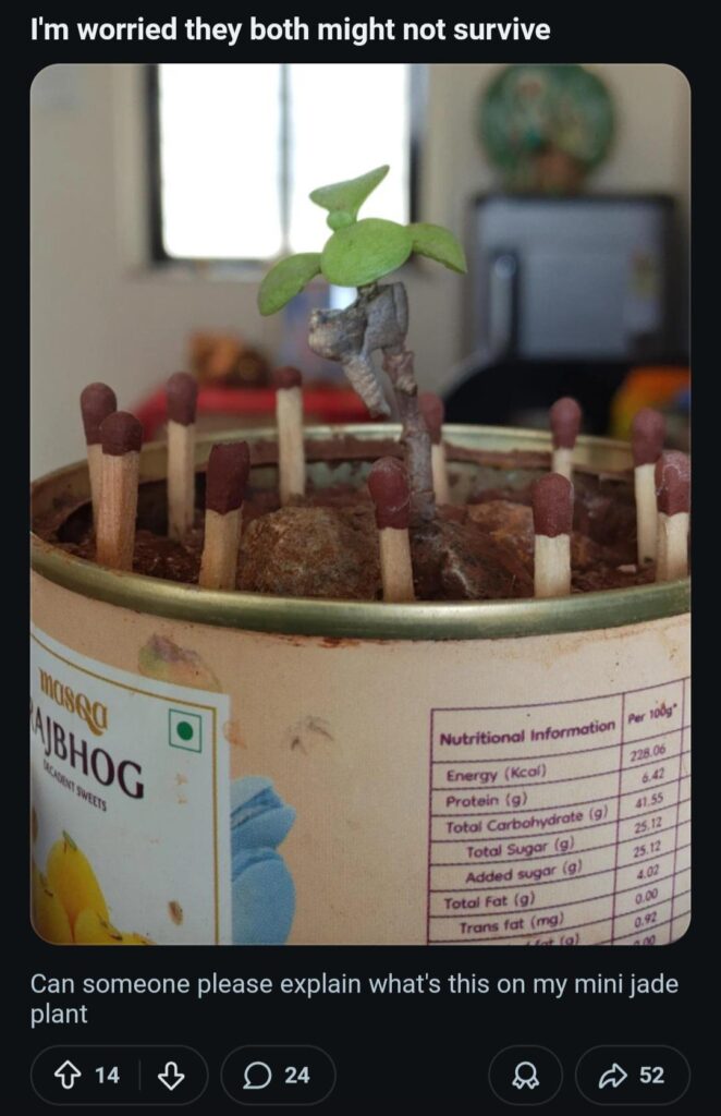 Worship me or I'll use my black magic jade to summon ghosts of plants past to haunt you!