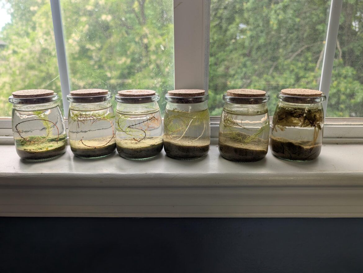 Jar Village