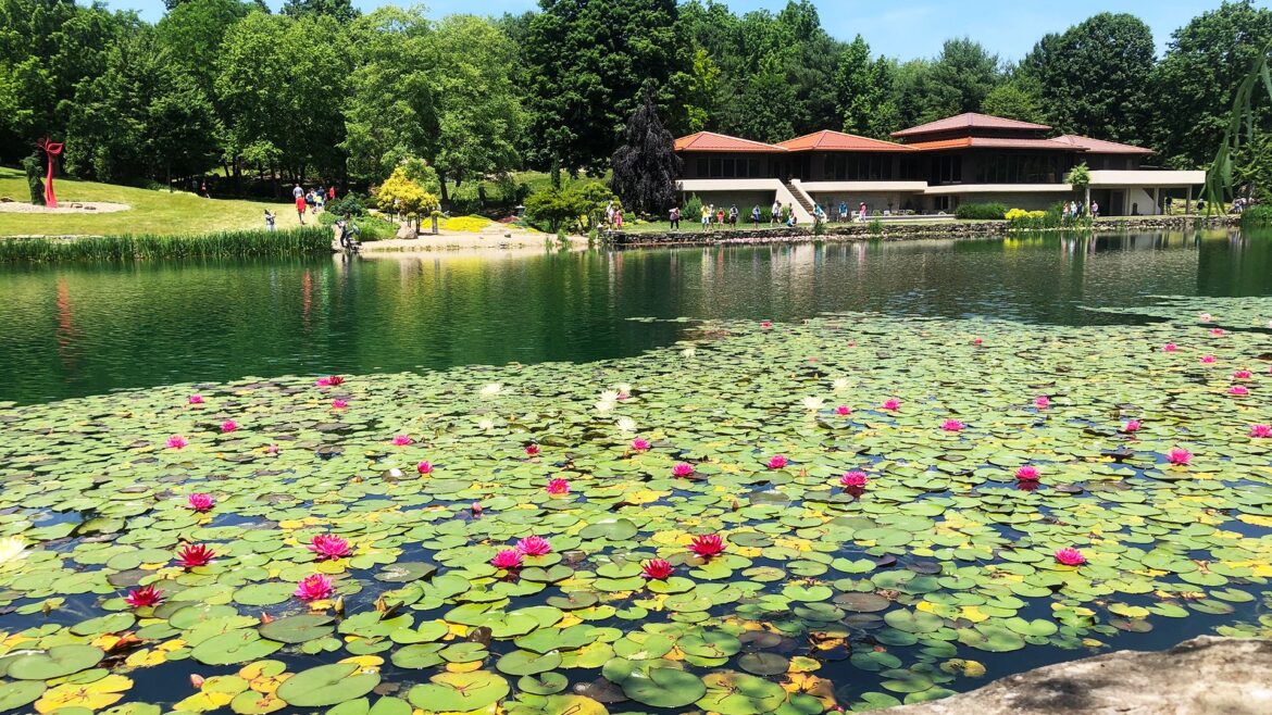 Schnormeier Gardens celebrates 30 years