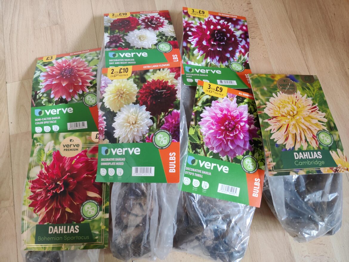 B&Q haul
