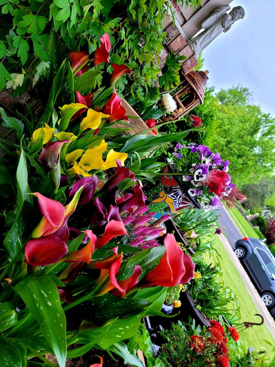 Our callas