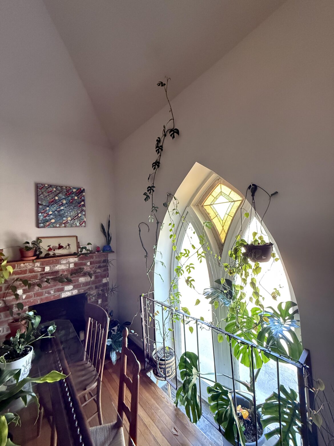 My mini monstera is 10+ feet tall