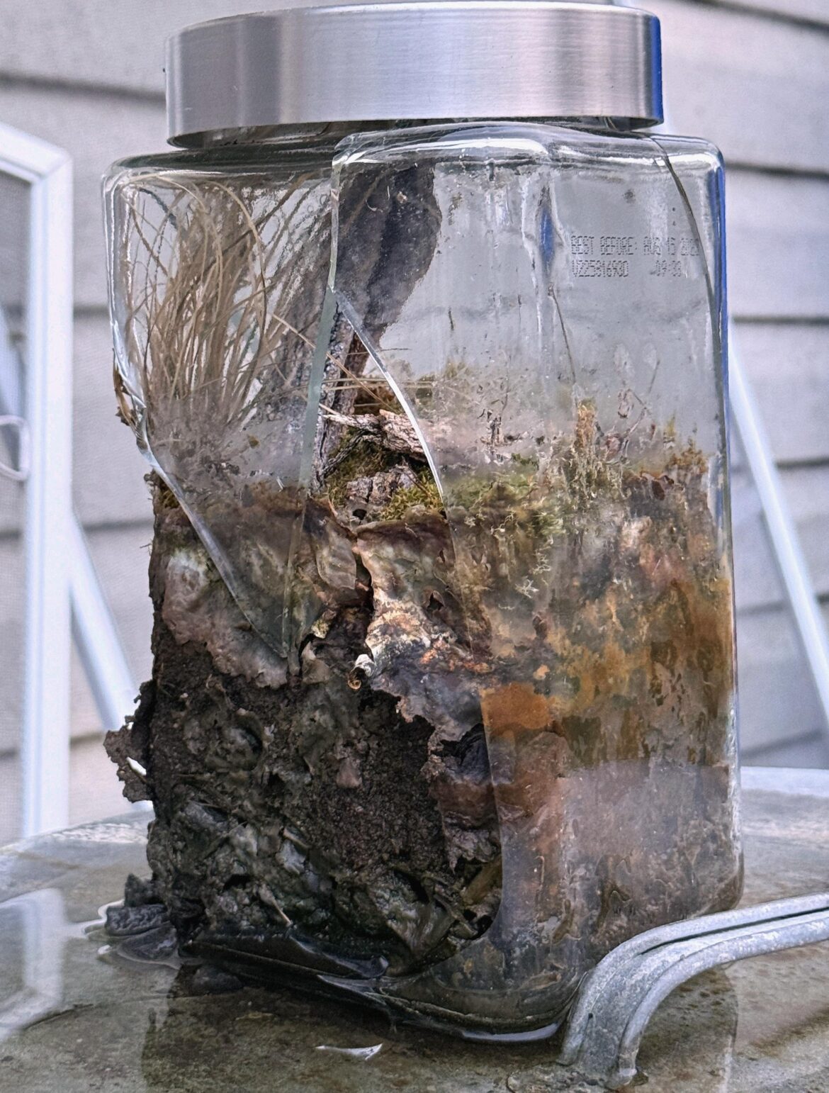 RIP jar that was about two years old, no clue what happened.