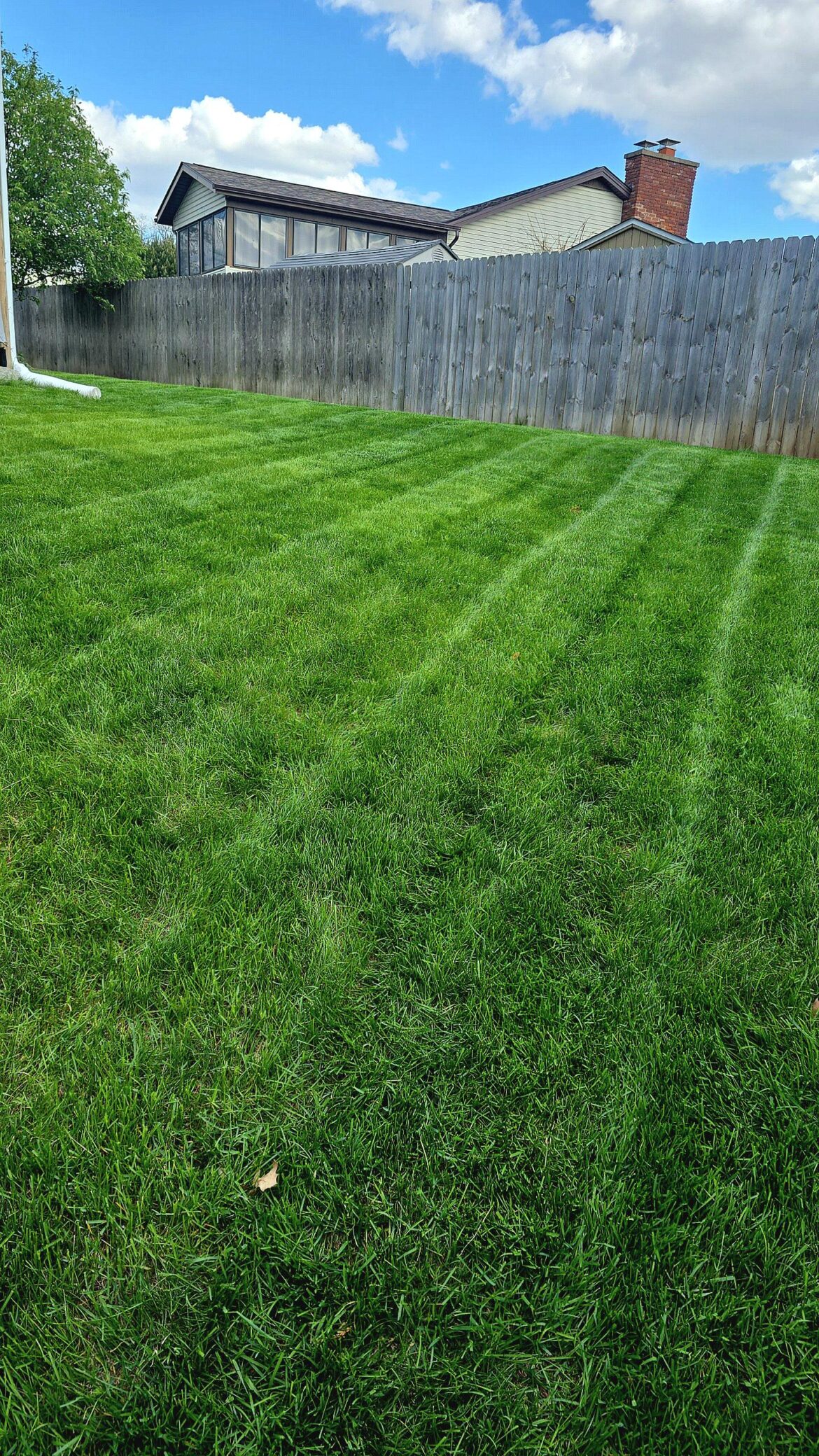 What is the main weed chemical you can mix in with tenacity herbicide?