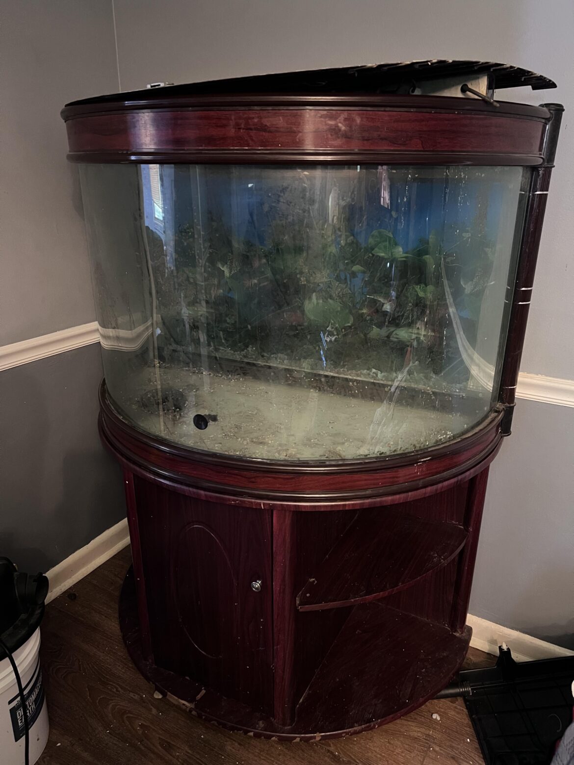 Terrarium ideas