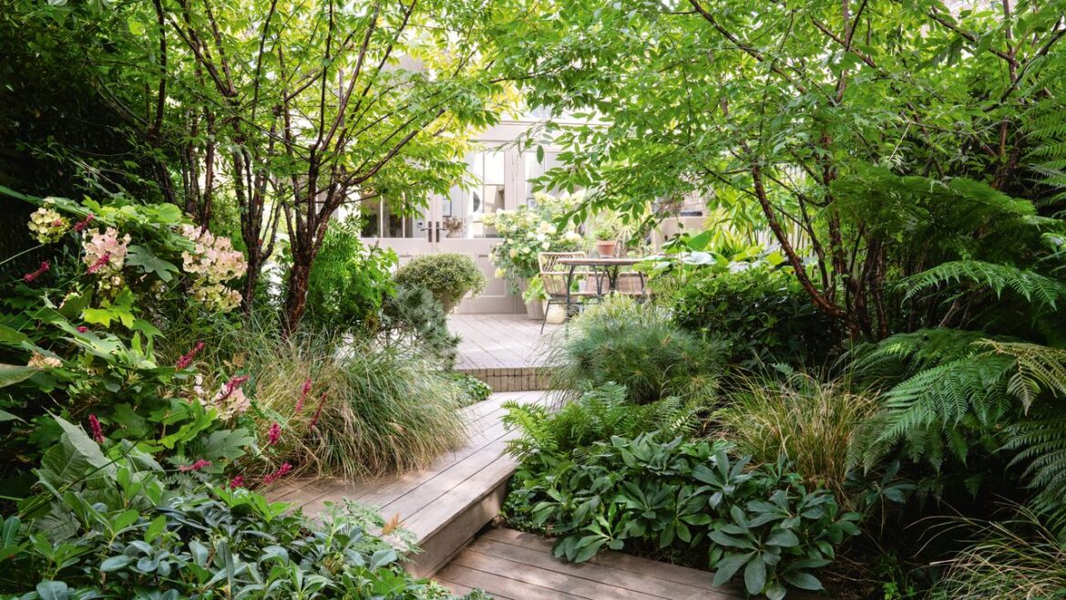 How one designer transformed an unusually large London garden into her own little world How one designer transformed an unusually large London garden into her own little world