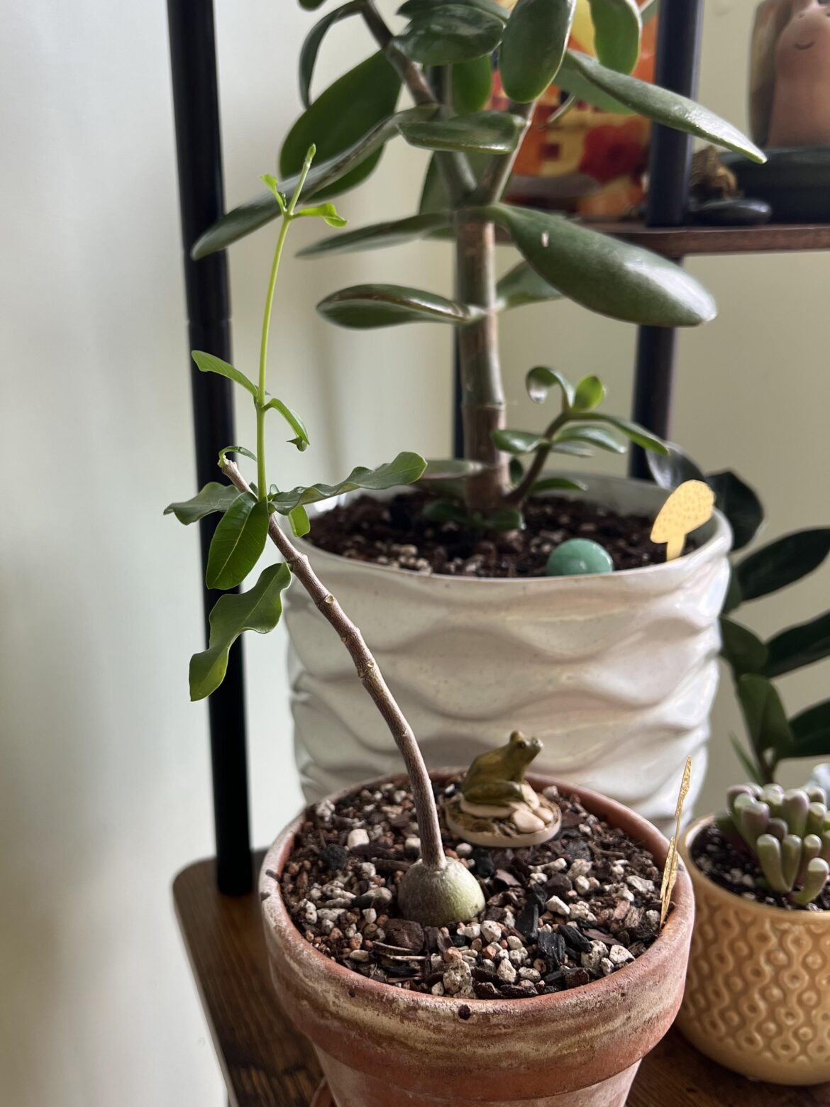 Twig has grown her own twig