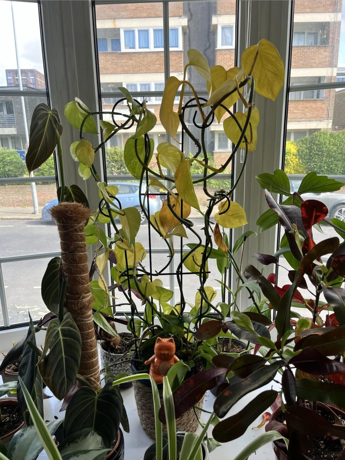 Help!!! Plantsitting