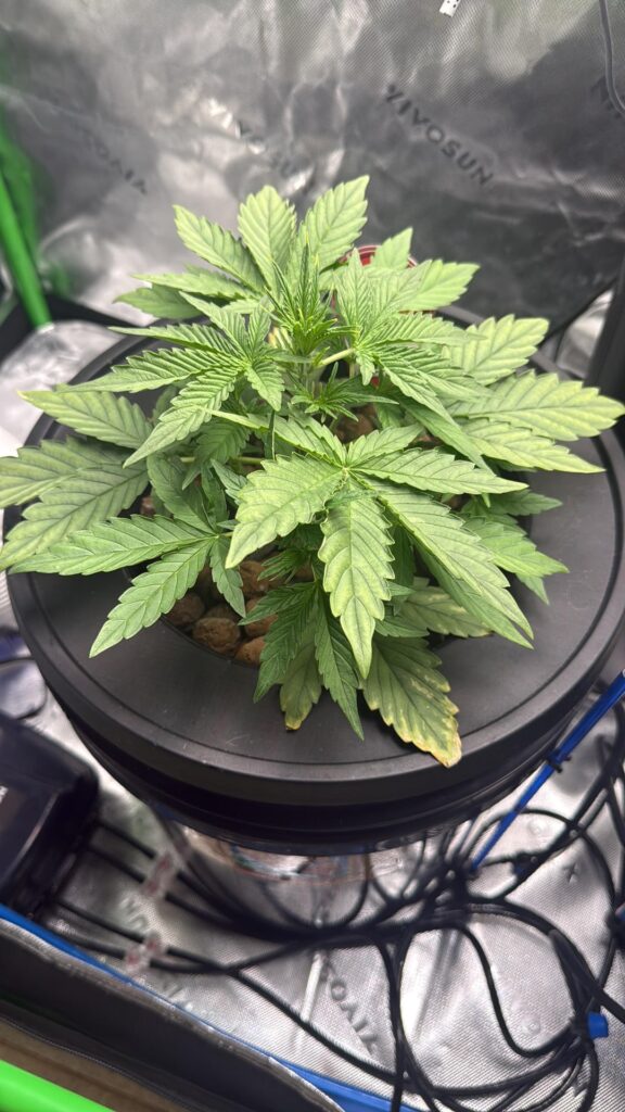 How we looking?