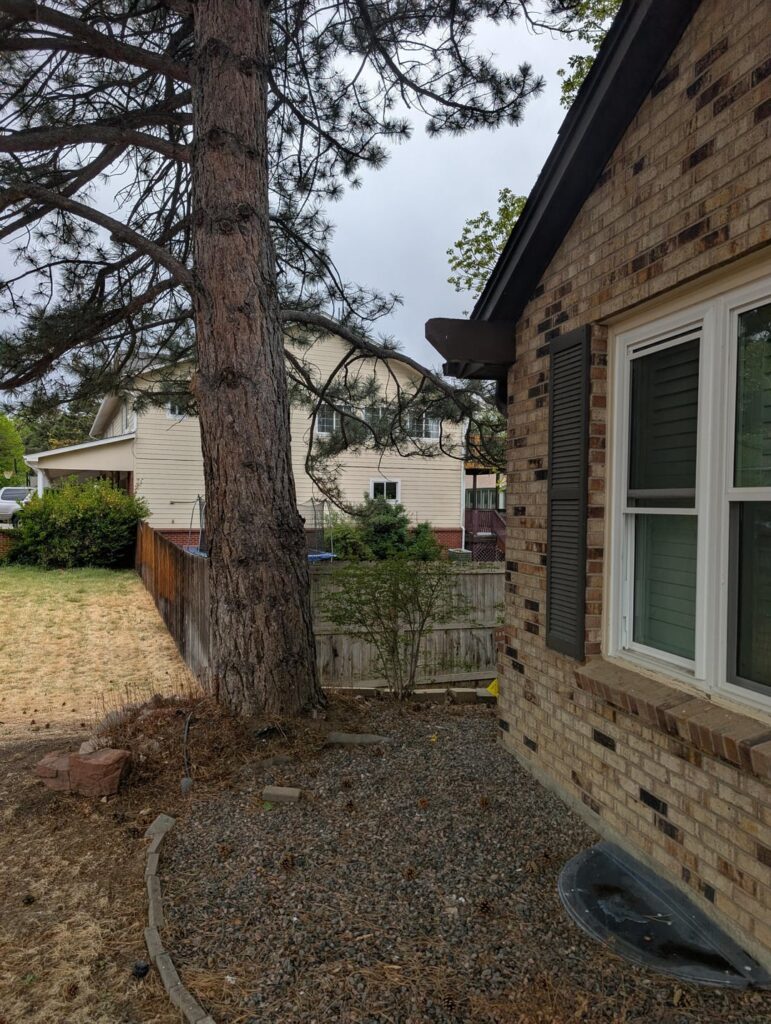 Tree distance from foundation