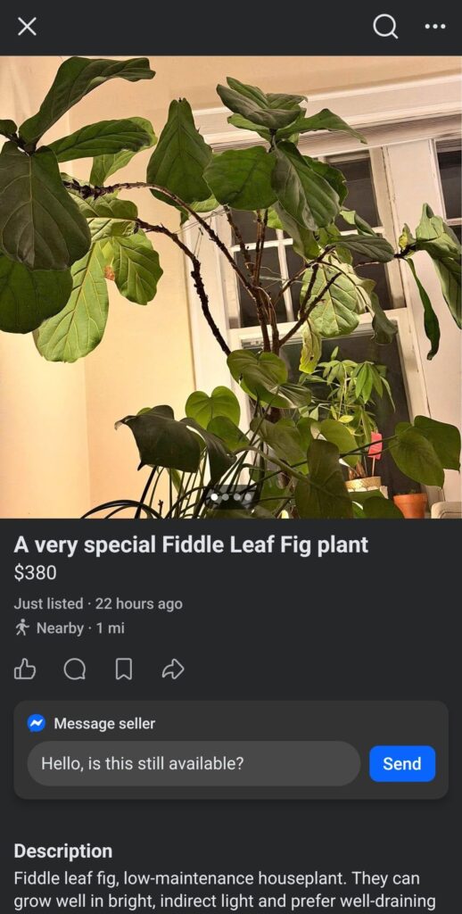 It's very special!