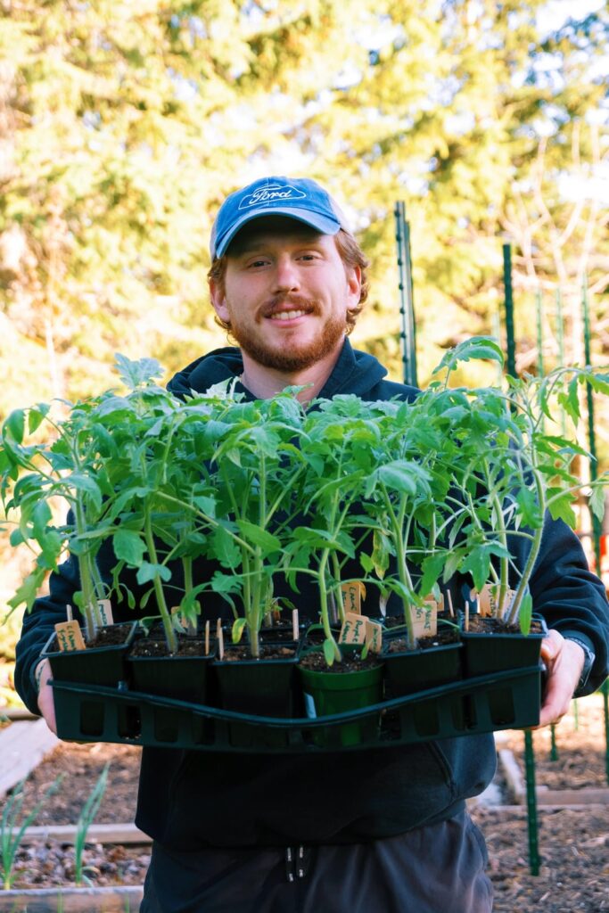 The 2026 tomatoes!!! The 2026 tomatoes!!!