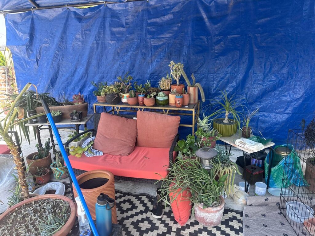 Too many plants? Don’t judge the decor – I’m working with what ive got for now! Too many plants? Don’t judge the decor - I’m working with what ive got for now!