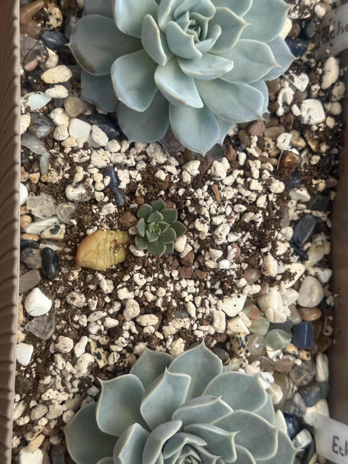 My first propagation success! π My first propagation success! π