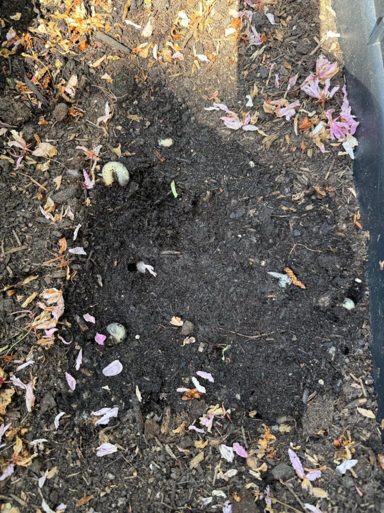 What are these?