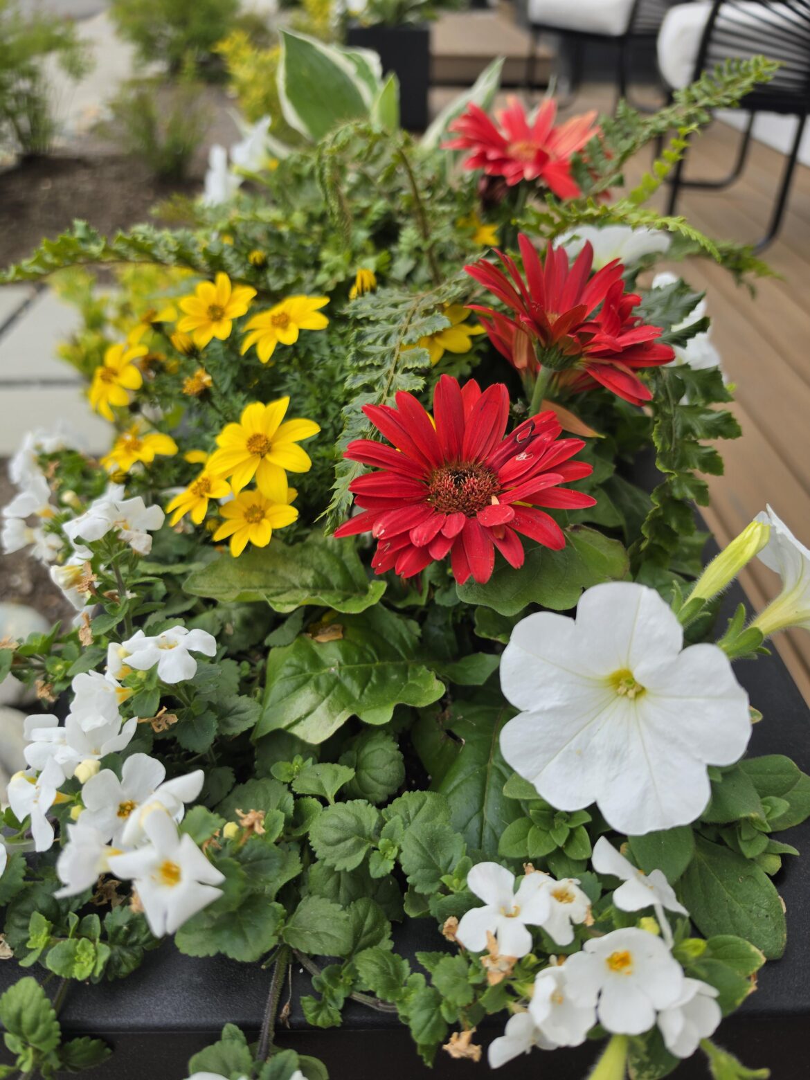 My teeny tiny garden