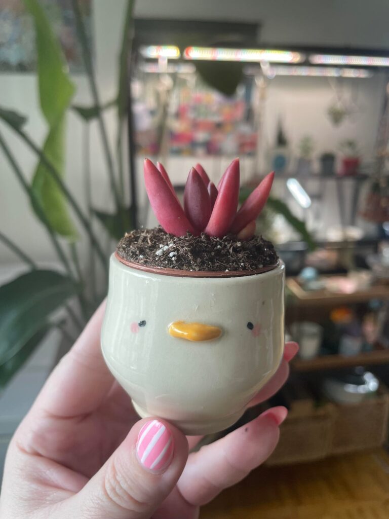 New baby cuties! 😍🥰