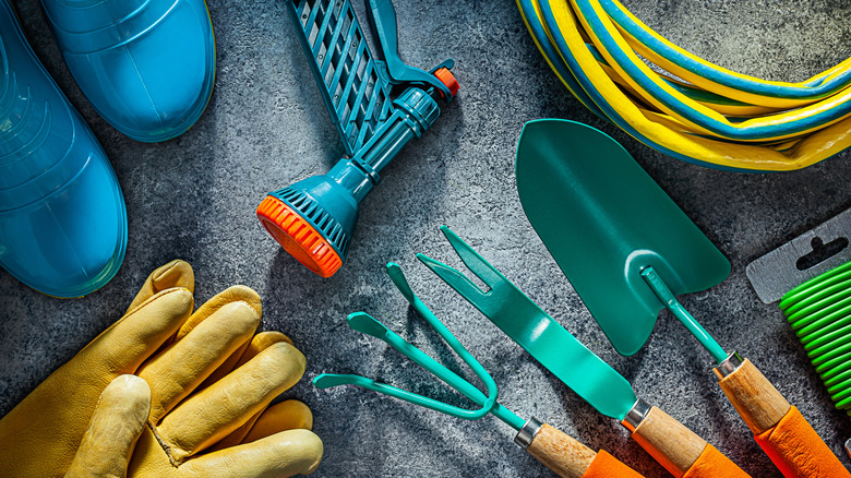 A set of garden tools and gloves