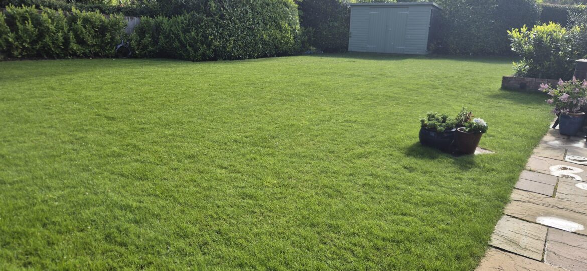 Lawn 21 days later.