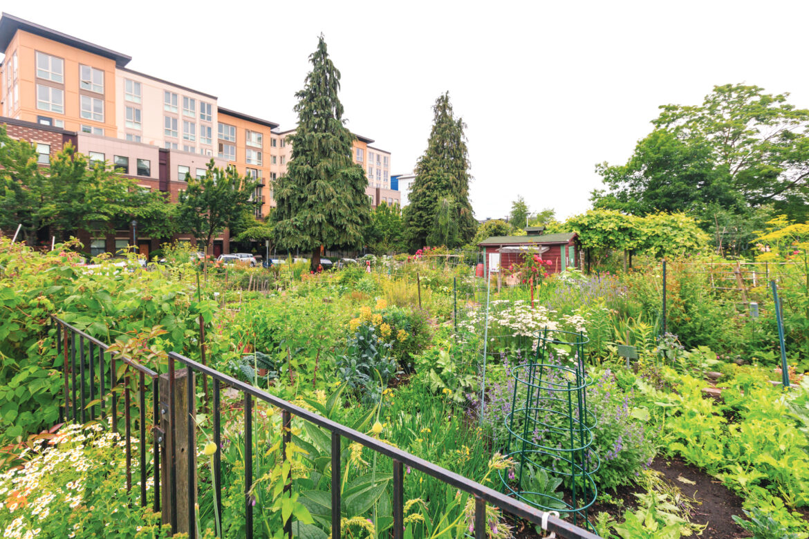 Modern Victory Garden – Mother Earth News