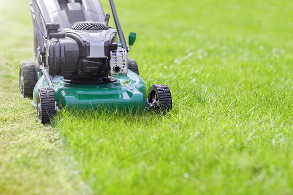 Mowing or cutting the long grass with a green lawn mower Mowing or cutting the long grass with a green lawn mower