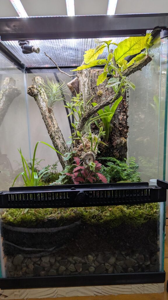 WTF? Tree is growing