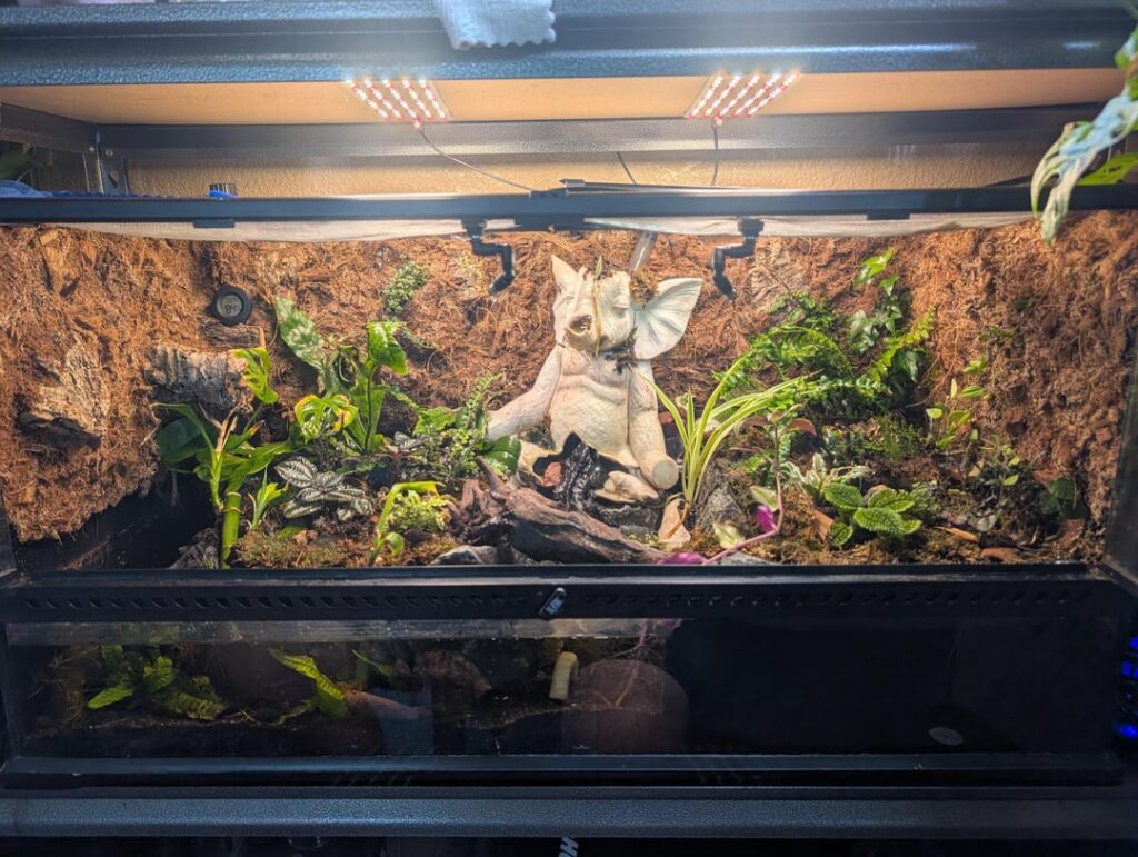 Could use some ideas