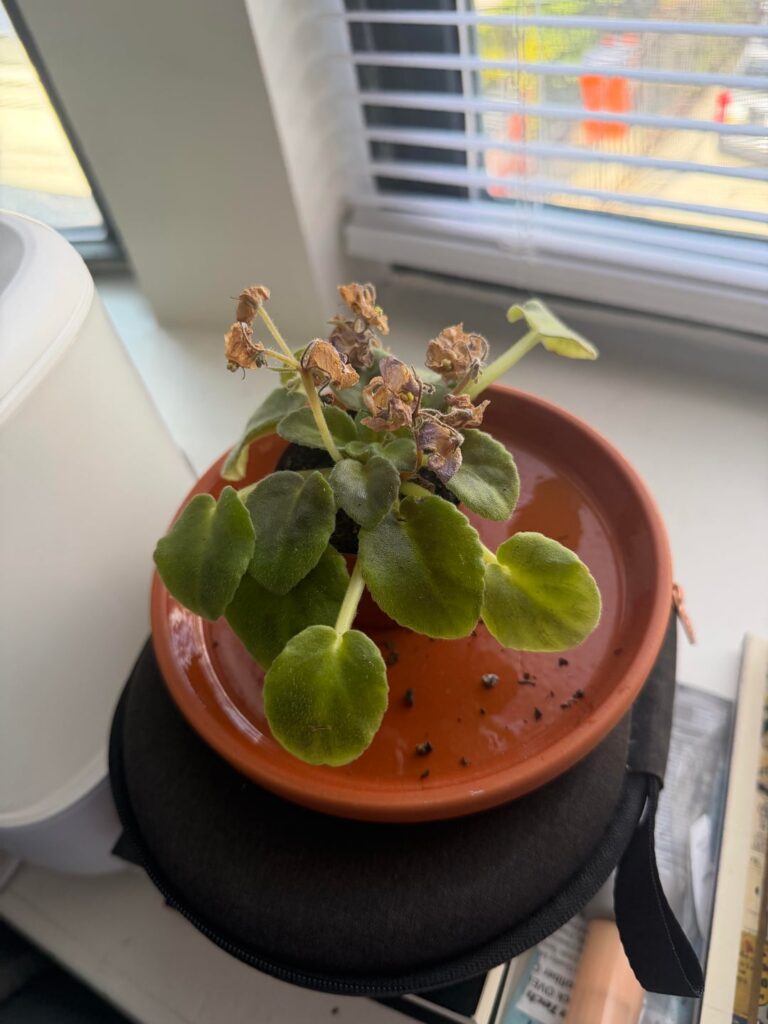 Need some help/tips Need some help/tips