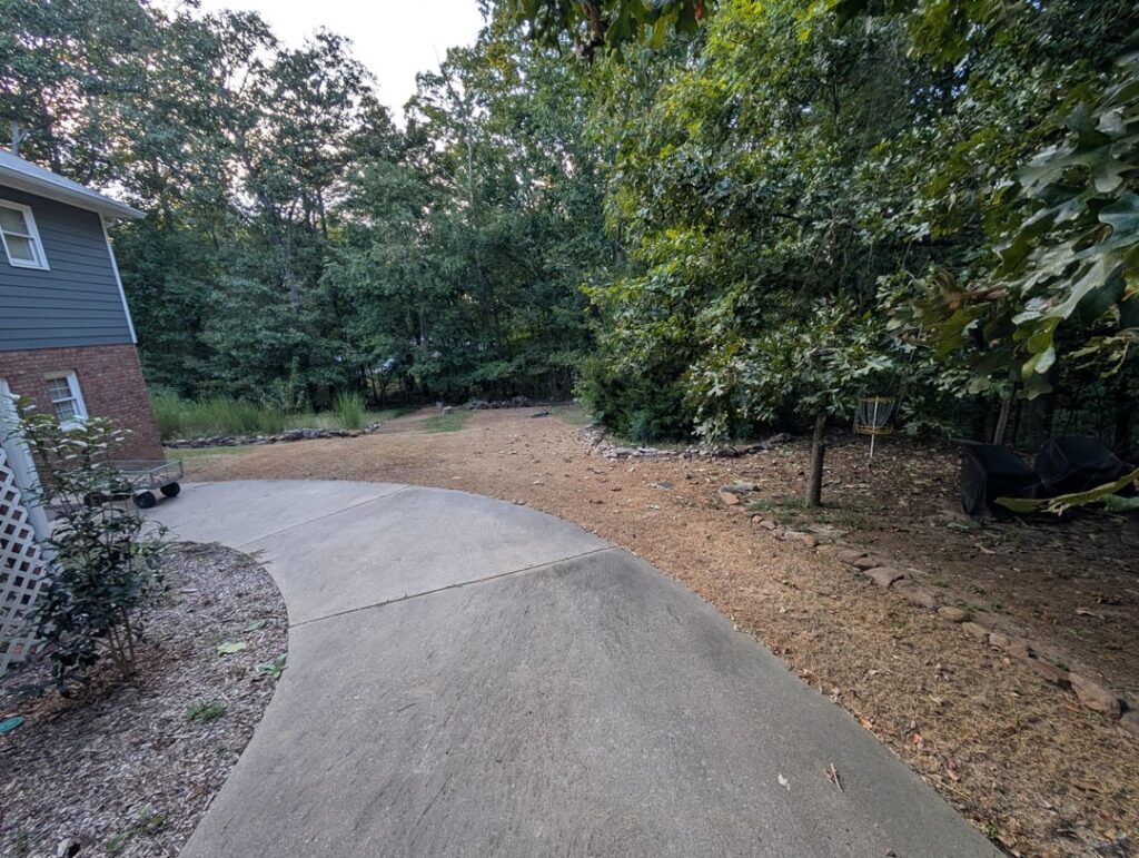 Lawn transformation since last summer (North Ga) Lawn transformation since last summer (North Ga)