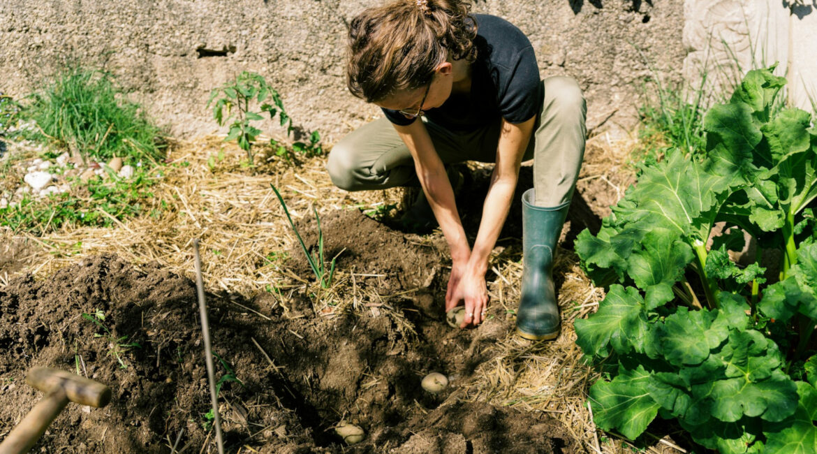 ‘Mental Wellness Garden’ Workshop Series Offered by Penn State Extension Mental Wellness