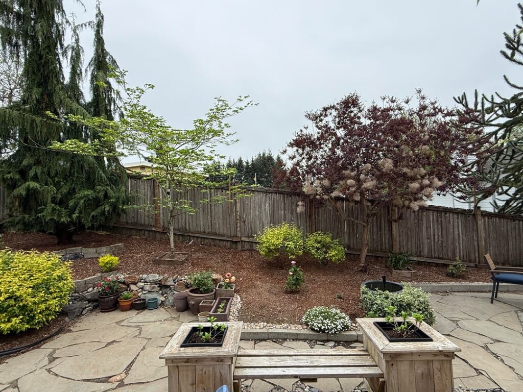Replace mulch with green? Replace mulch with green?