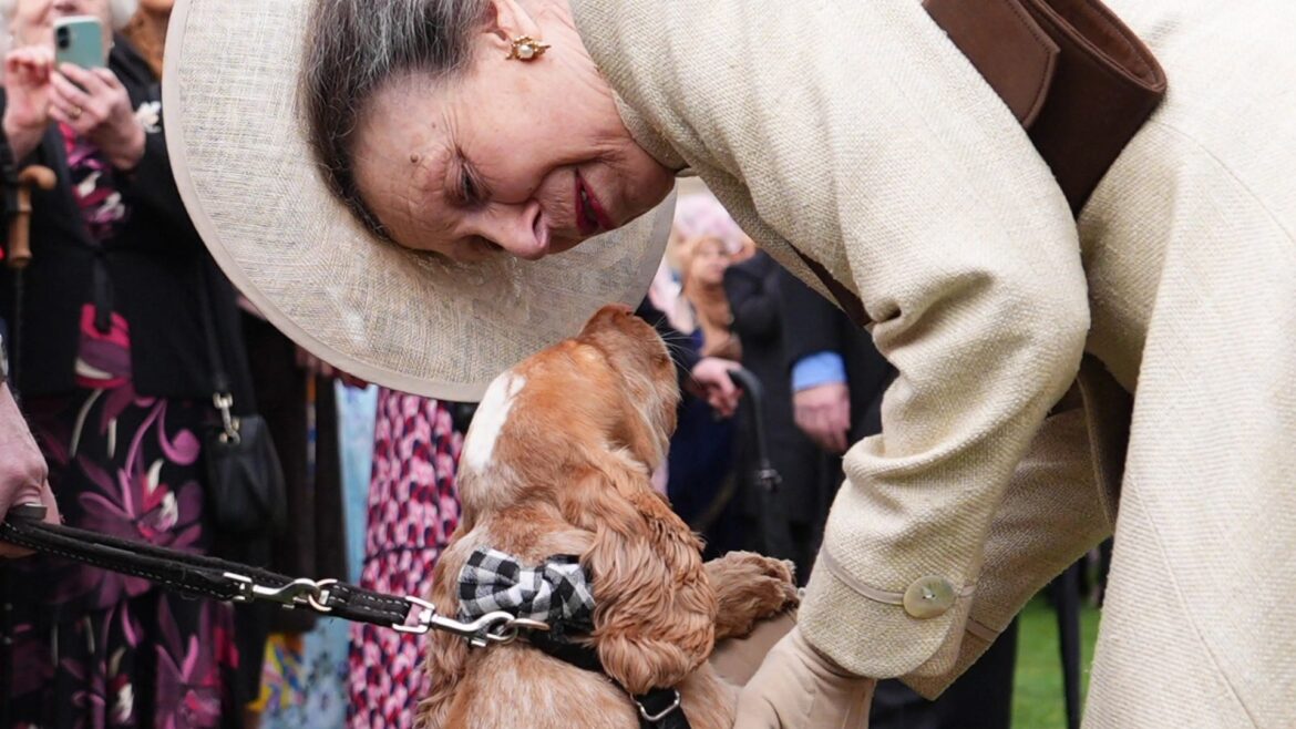 Over-excited dog steals the show at the first summer Garden Party at Buckingham Palace Over-excited dog steals the show at the first summer Garden Party at Buckingham Palace