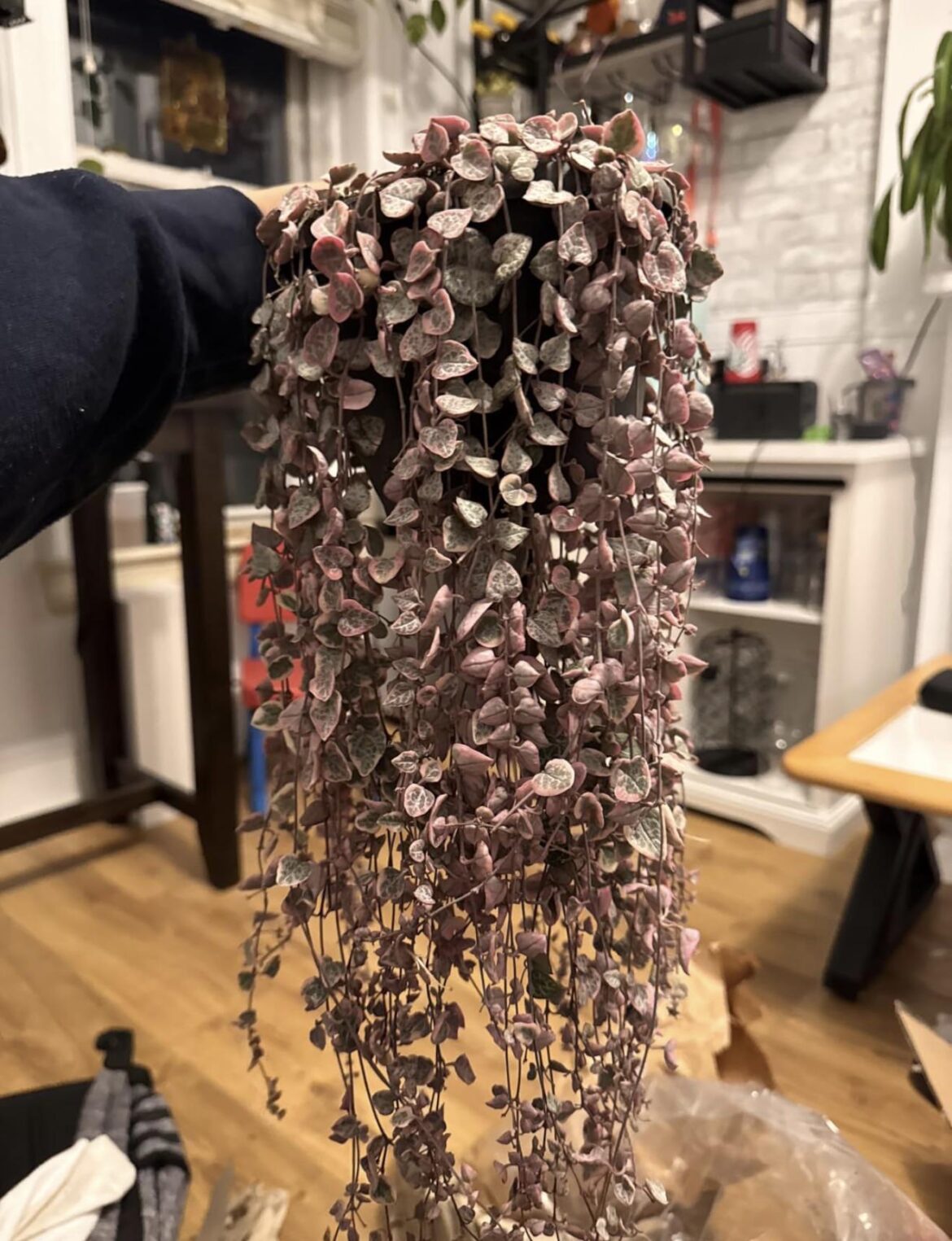 New Baby 😍 string of hearts