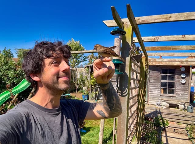 Nature with Nik Mitchell: New rules for supporting our garden birds, Rethink, Don’t Remove – The Isle of Thanet News Nature with Nik Mitchell: New rules for supporting our garden birds, Rethink, Don’t Remove – The Isle of Thanet News