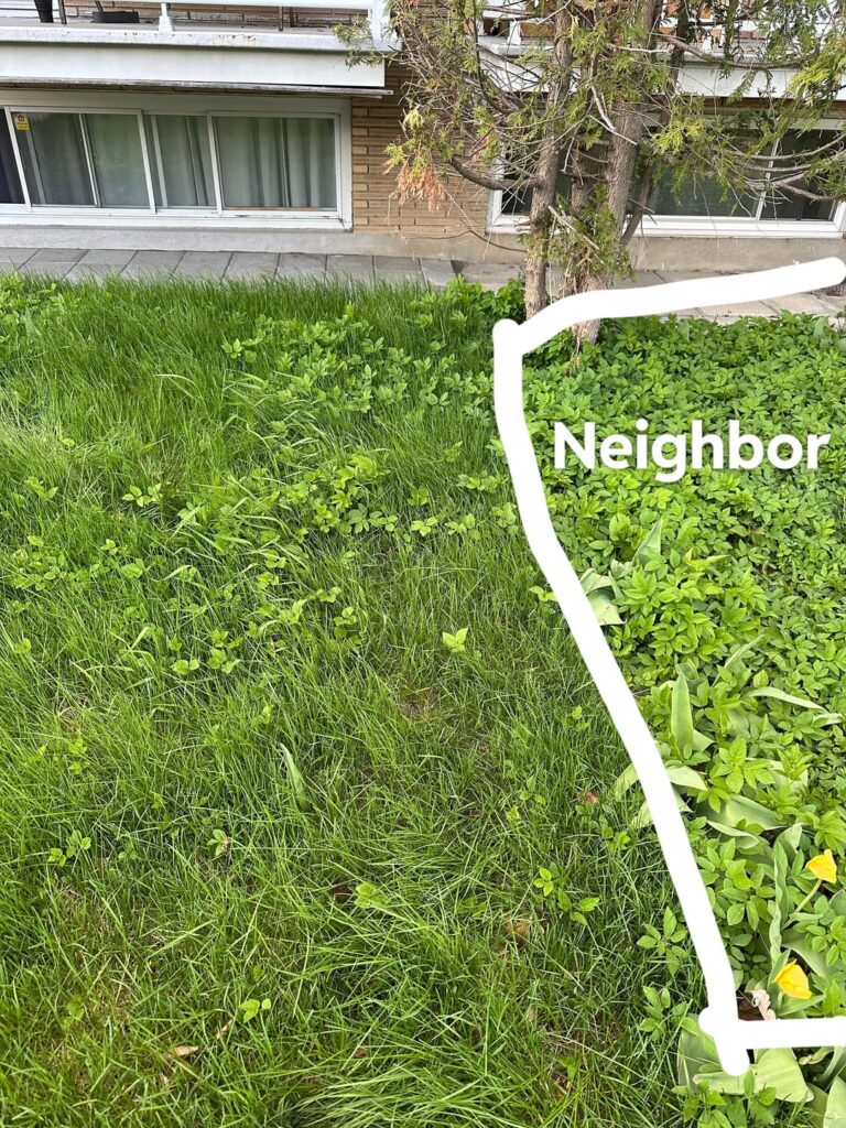 What is the best solution? [CA, QC]