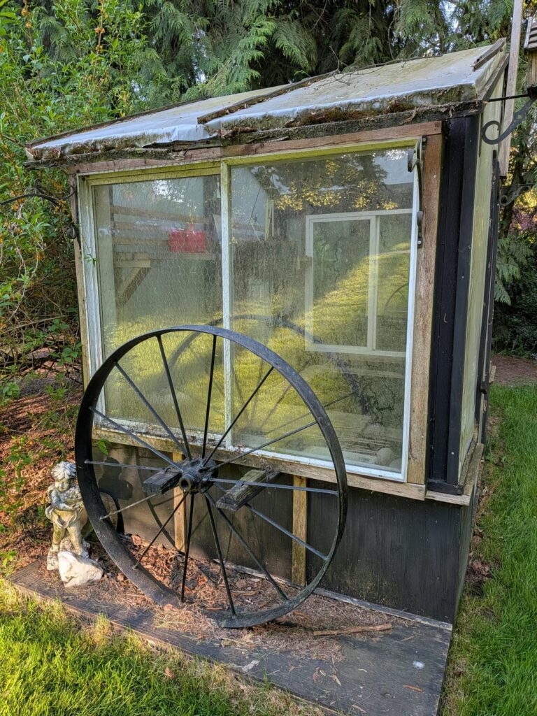 My husband's grandmother is letting me use her little greenhouse