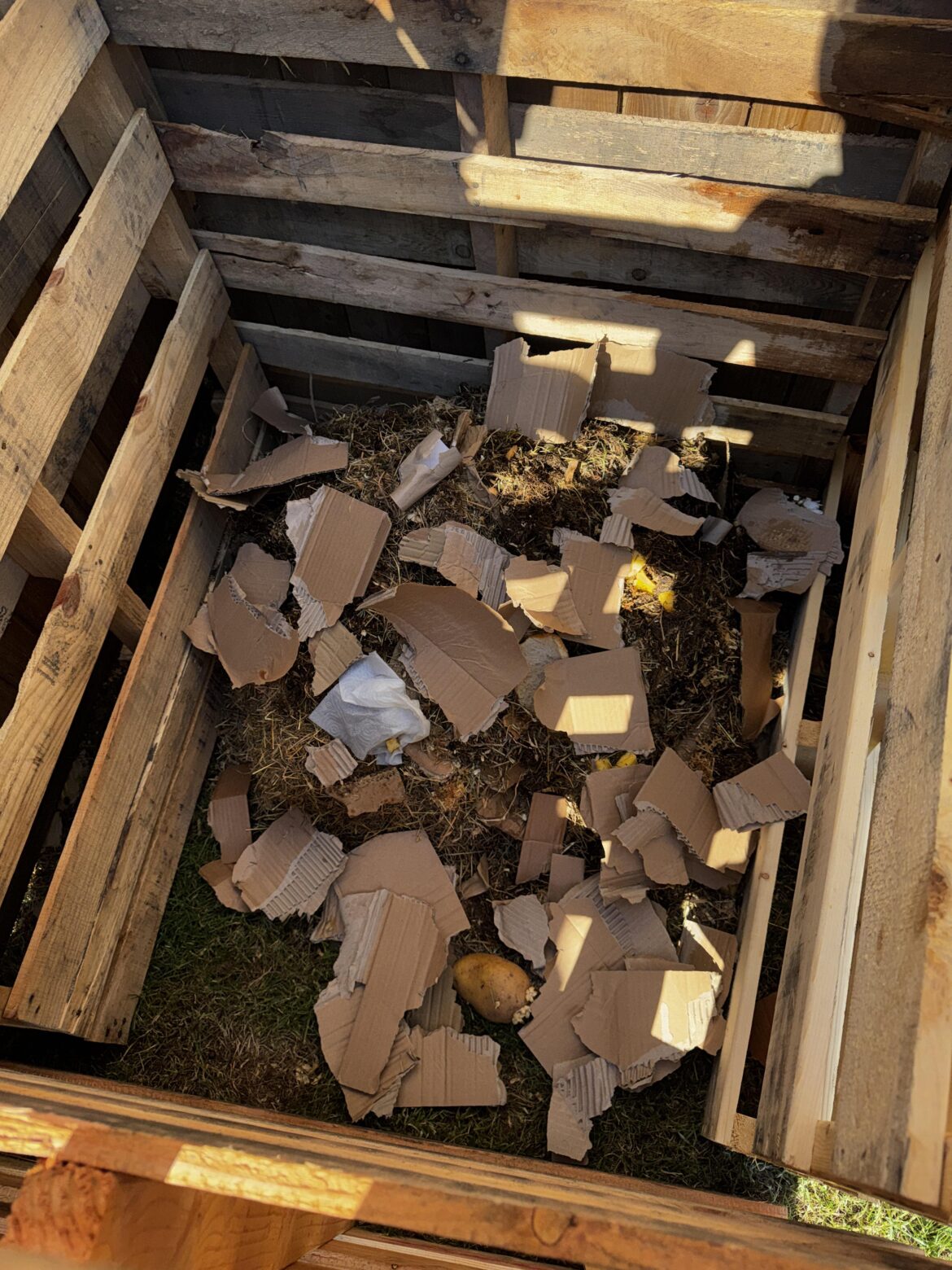 Compost