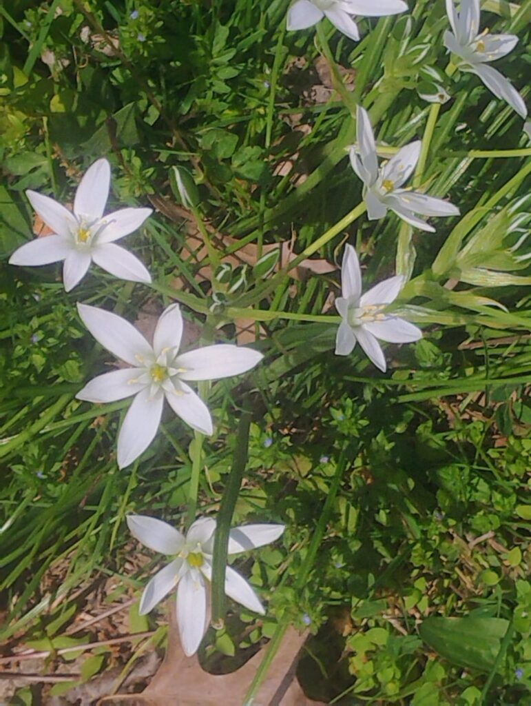 Northeast Pennsylvania