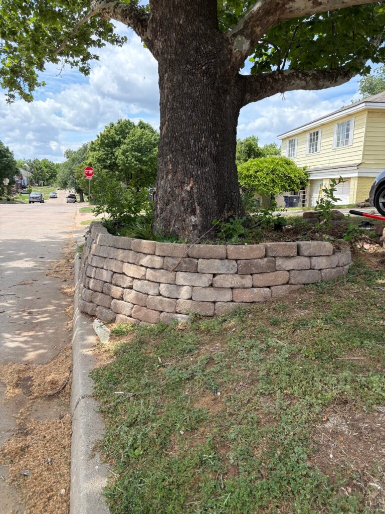 Do I need to dig this tree out? Do I need to dig this tree out?
