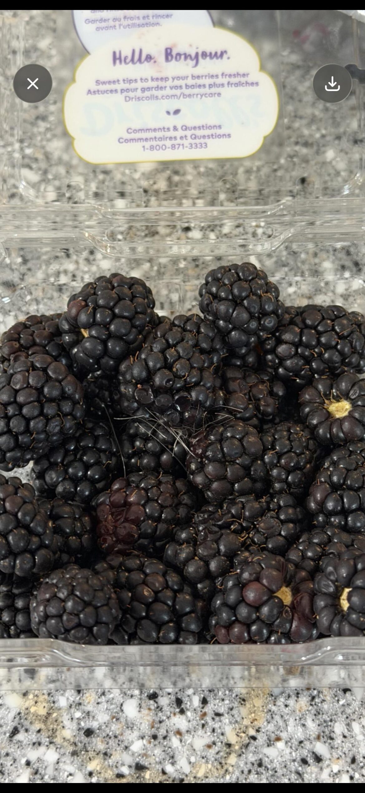 Blackberry hair