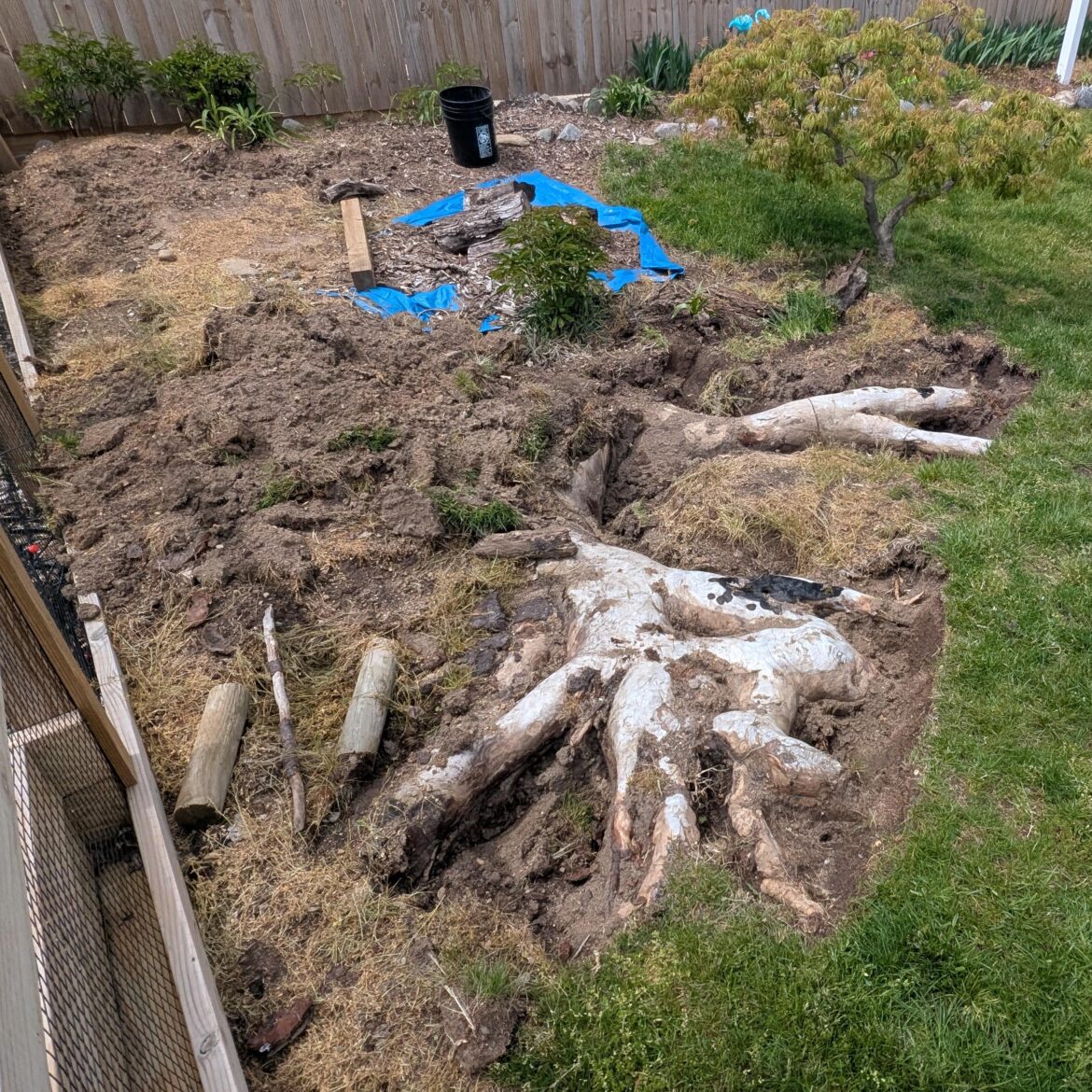 Massive Root Removal