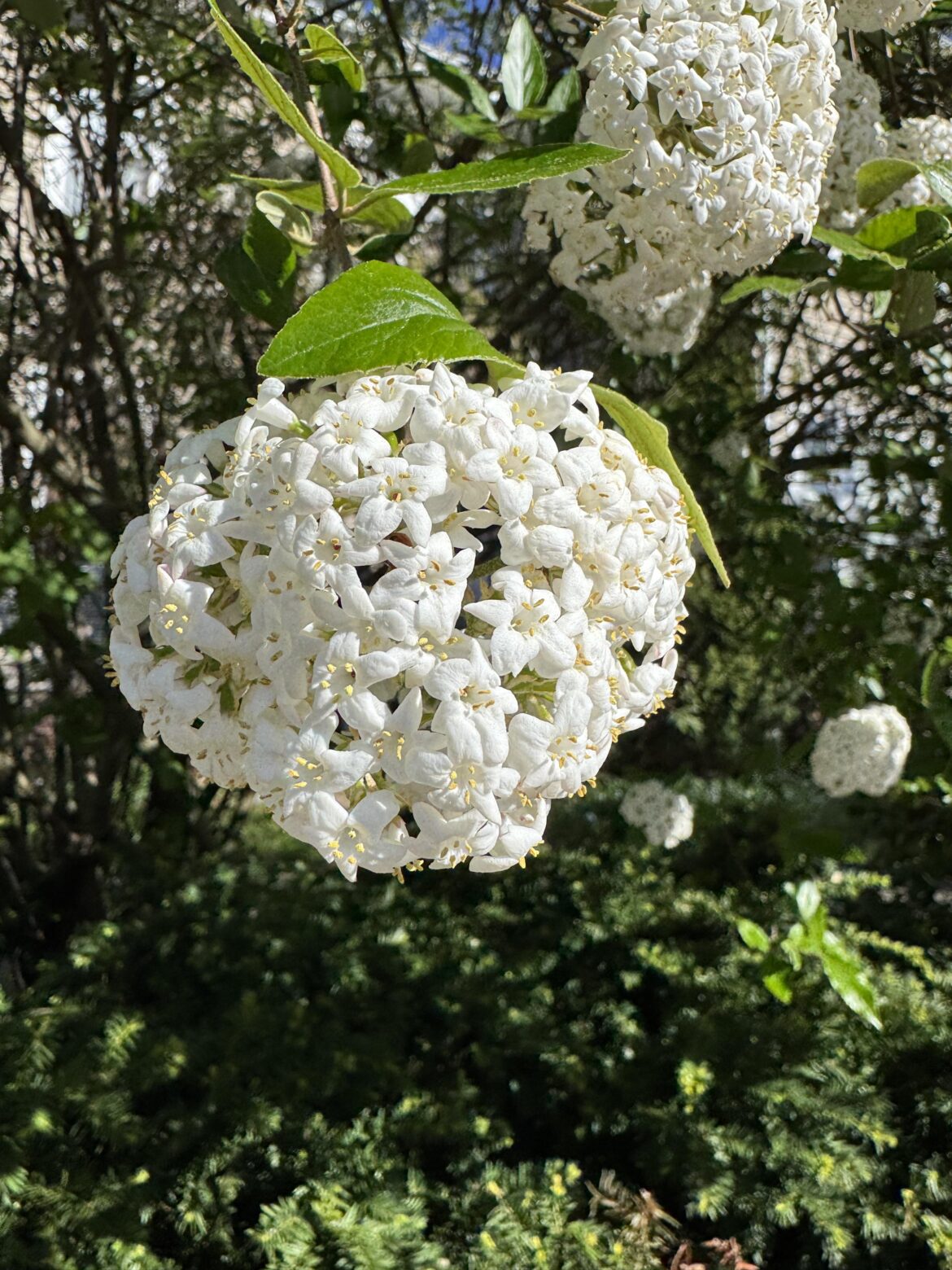 Smelled so good, now I NEED to know! Help, pls