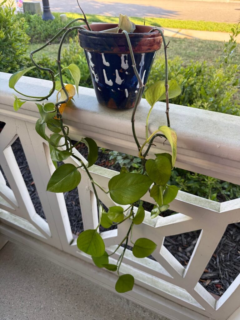 Help please