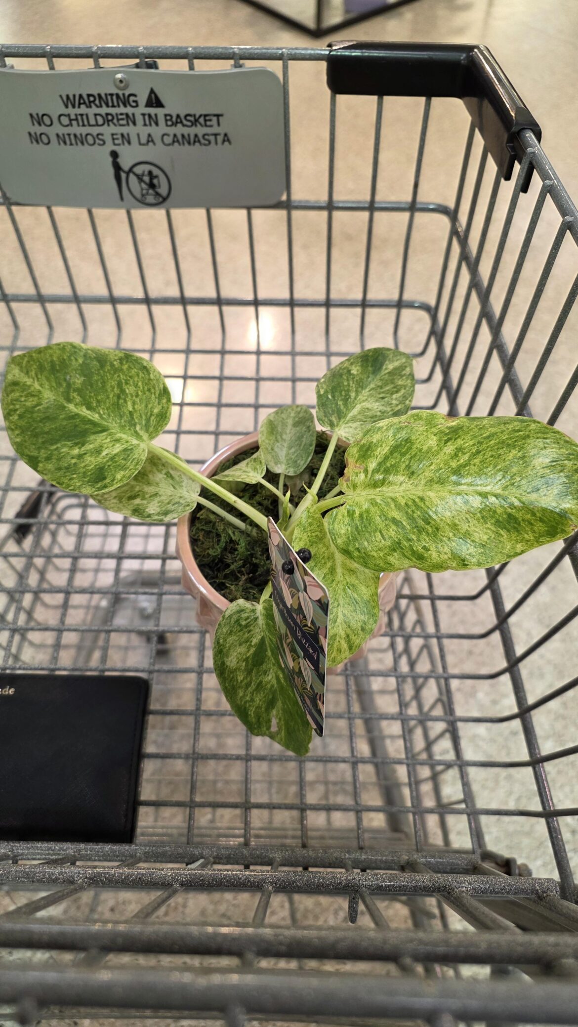 Excellent grocery store find!