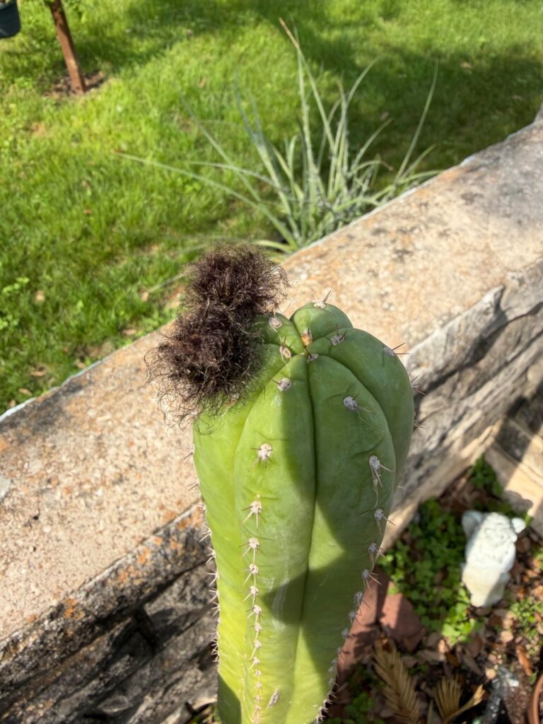 What is going on here?