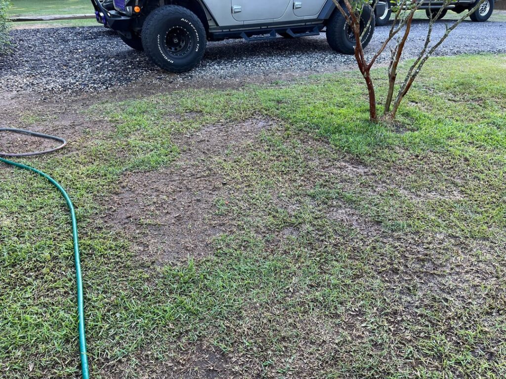 Zone 8 South Carolina