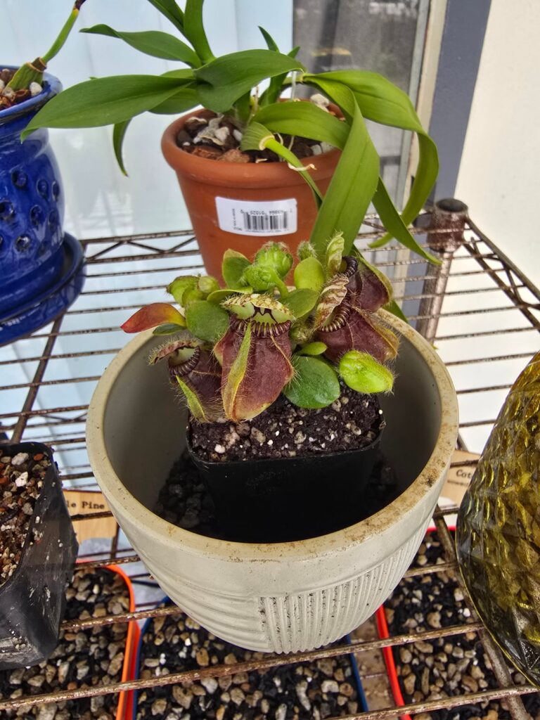 New friends!