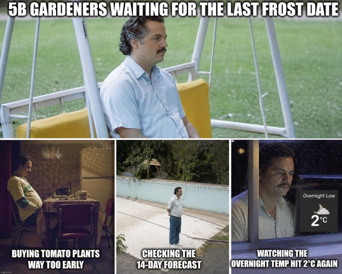 As I scroll through gardening subs 😊